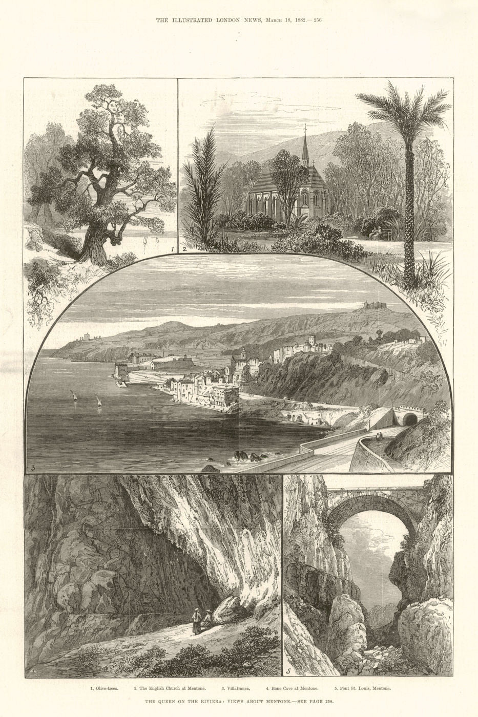 Menton. Olive trees. English Church. Villefranche. Alpes-Maritimes 1882 print